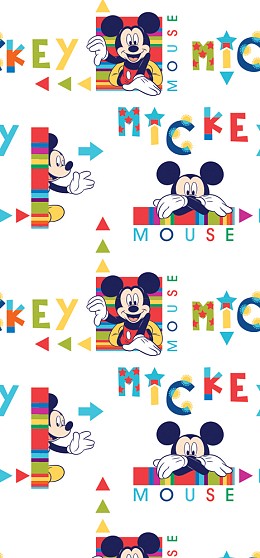 004 ΚΟΥΡΤΙΝΕΣ ΜΕ ΕΚΤΥΠΩΣΗ DISNEY ΜΕ ΤΟ ΜΕΤΡΟ MICROFIBER