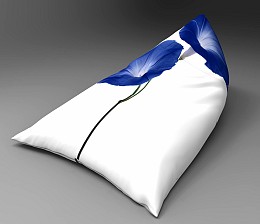 312 beanbagSOL