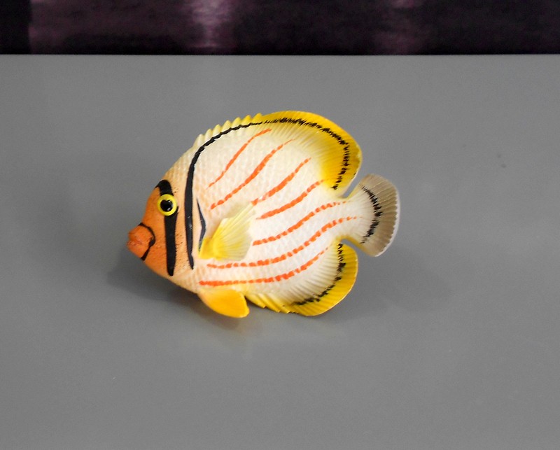 689 Πομολακι με Χρωμα 2 ευρω