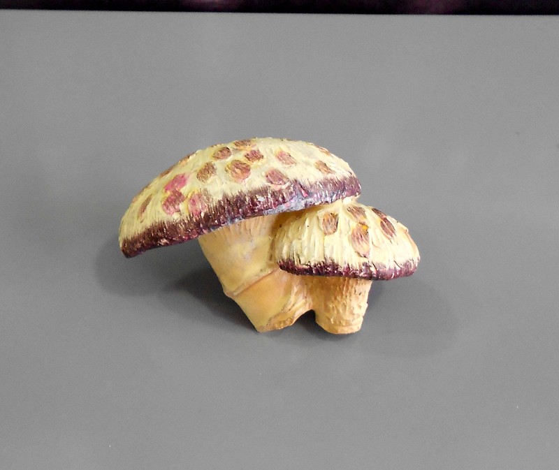 685 Πομολακι με Χρωμα 2 ευρω