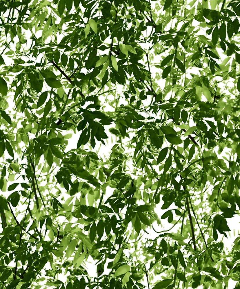 053 Ταπετσαρια 041VivlioNP