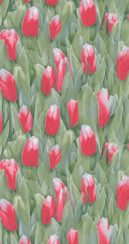 017 Ταπετσαρια 047VivlioNP