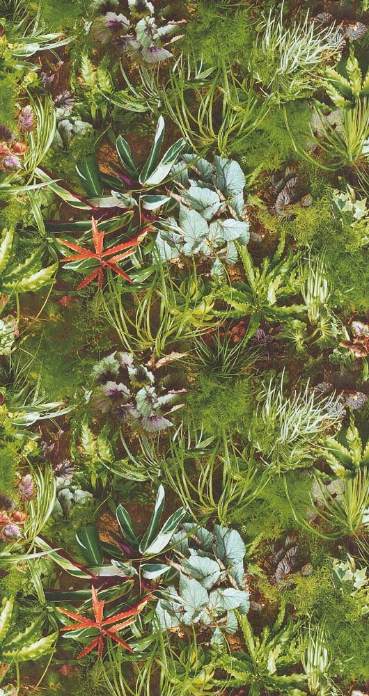 015 Ταπετσαρια 047VivlioNP