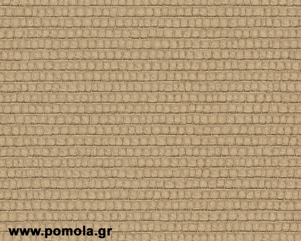 113 Ταπετσαρια Vivlio055AOWBIII