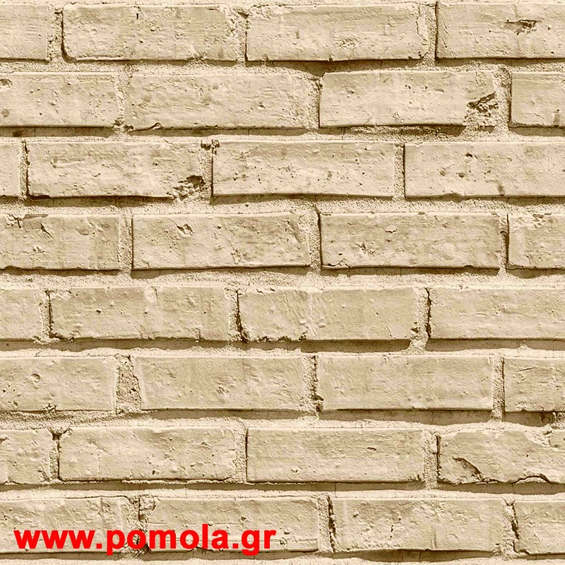 046 Ταπετσαρια Vivlio054NP