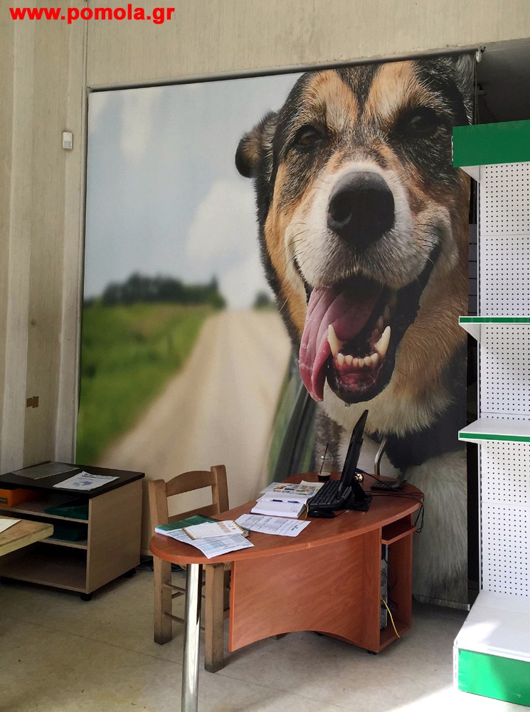 247 Τοποθετηση Σκιασης