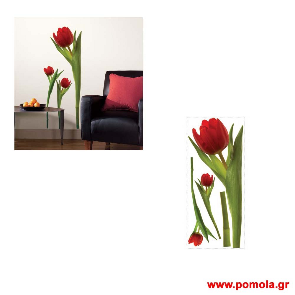 249 Αυτοκολλητο Stickers ΑΜΕΡΙΚΗΣ