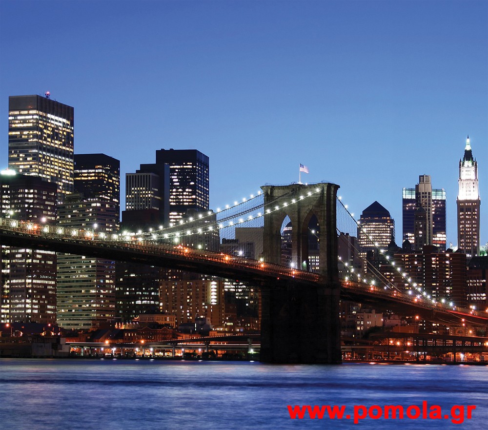 044 Kουρτινα με Ψηφιακη Εκτυπωση 280 πλατος χ 245 υψος