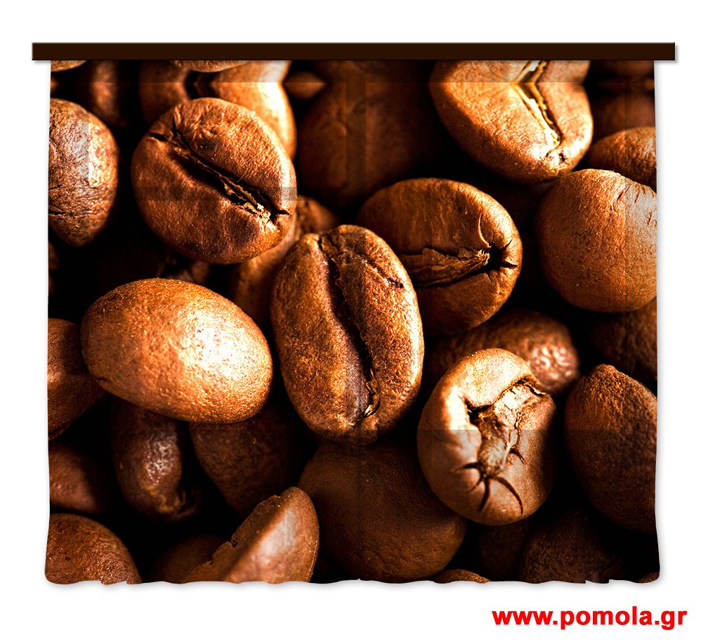 110 Kουρτινα με Ψηφιακη Εκτυπωση 280 πλατος χ 245 υψος