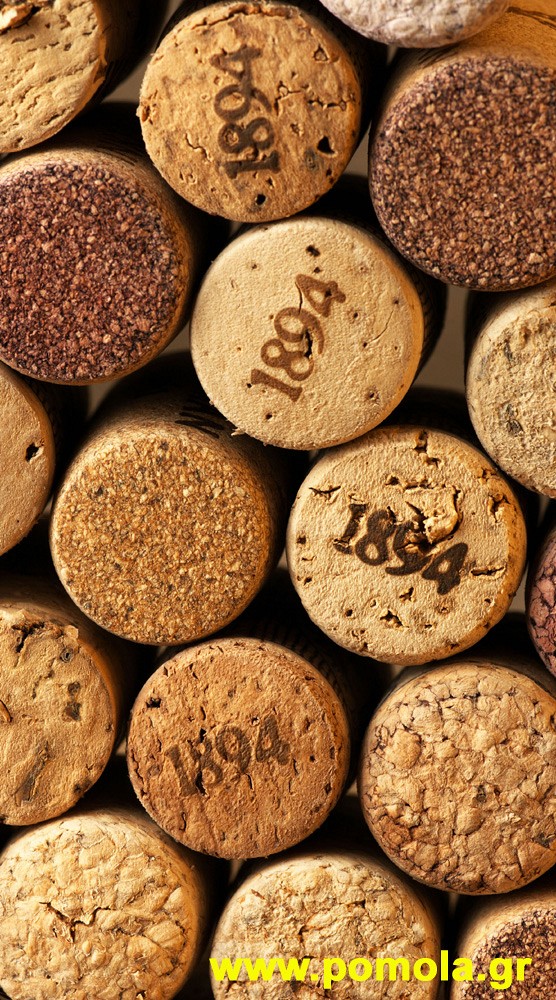 066 Kουρτινα με Ψηφιακη Εκτυπωση 140 πλατος χ 245 υψος