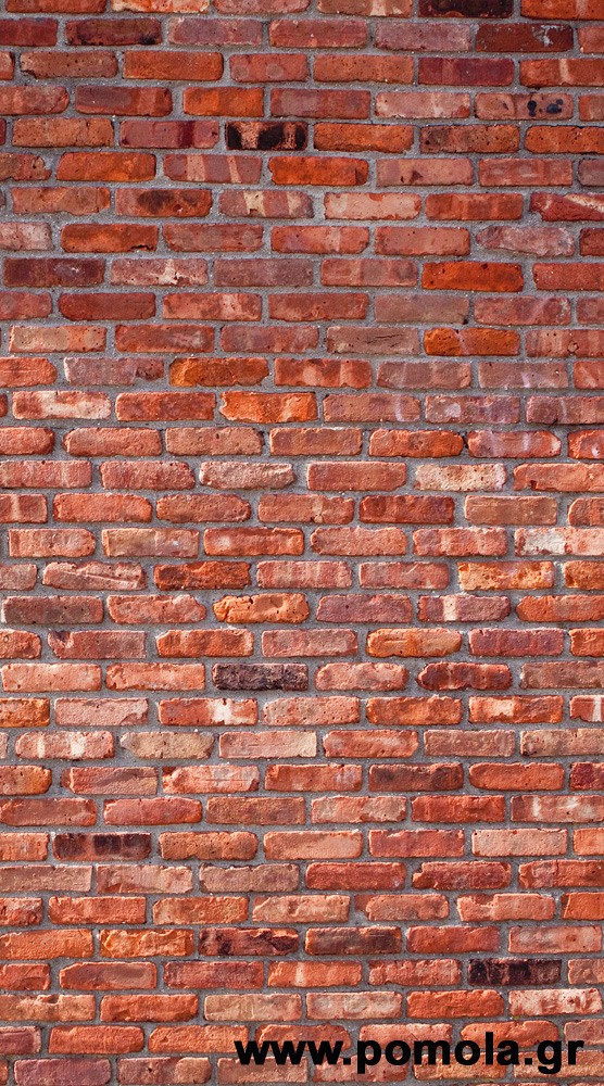 069 Kουρτινα με Ψηφιακη Εκτυπωση 140 πλατος χ 245 υψος