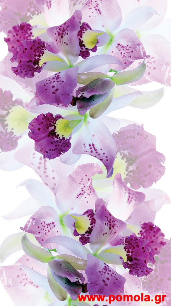 062 Kουρτινα με Ψηφιακη Εκτυπωση 140 πλατος χ 245 υψος