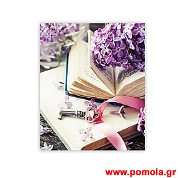 225 Σκιαση Με Ψηφιακη Εκτυπωση για Ρολλερ και Πανελ