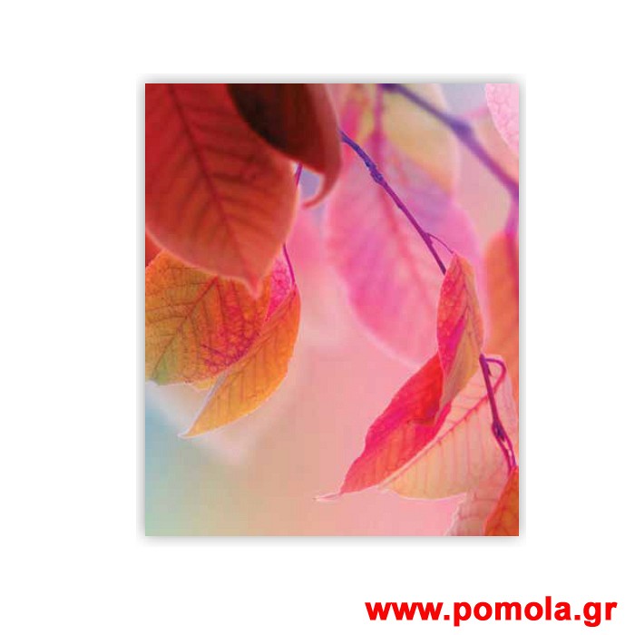 254 Σκιαση Με Ψηφιακη Εκτυπωση για Ρολλερ και Πανελ