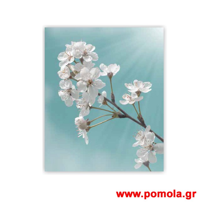 256 Σκιαση Με Ψηφιακη Εκτυπωση για Ρολλερ και Πανελ