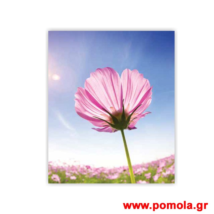 257 Σκιαση Με Ψηφιακη Εκτυπωση για Ρολλερ και Πανελ