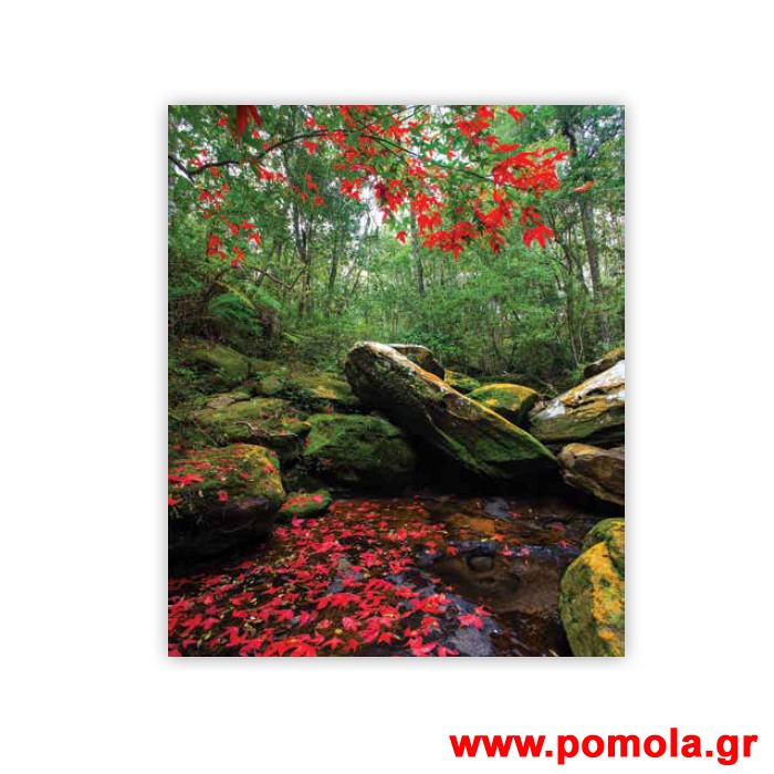 308 Σκιαση Με Ψηφιακη Εκτυπωση για Ρολλερ και Πανελ