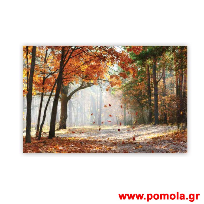 340 Σκιαση Με Ψηφιακη Εκτυπωση για Ρολλερ και Πανελ