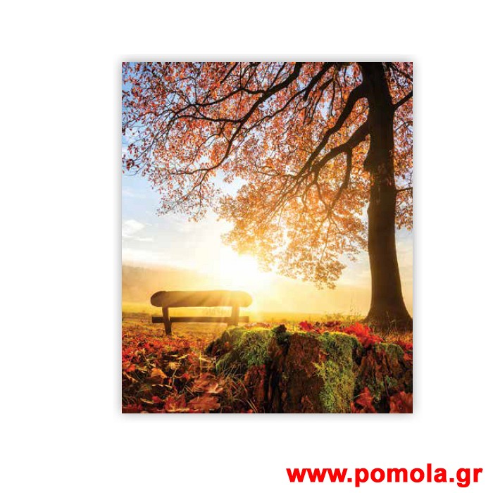 344 Σκιαση Με Ψηφιακη Εκτυπωση για Ρολλερ και Πανελ