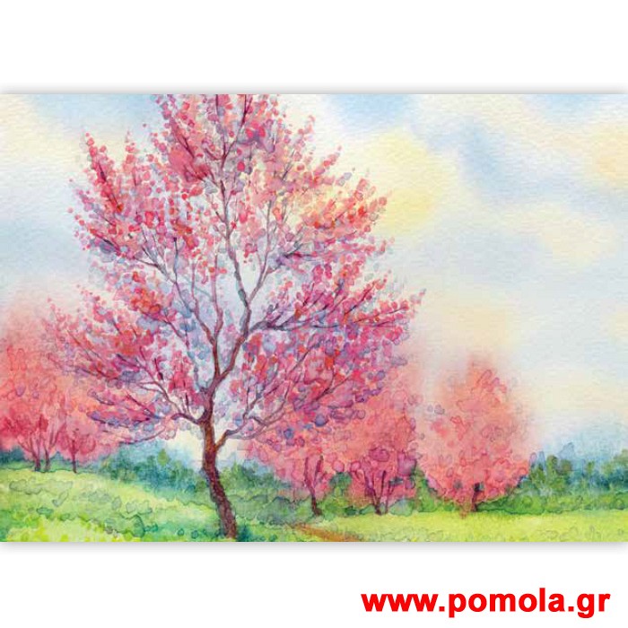 470 Σκιαση Με Ψηφιακη Εκτυπωση για Ρολλερ και Πανελ