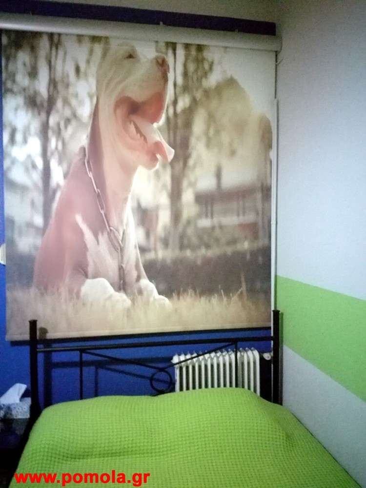 429 Τοποθετηση Σκιασης με ψηφιακη εκτυπωση