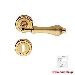 251 Πομολο Ιταλιας GOLD