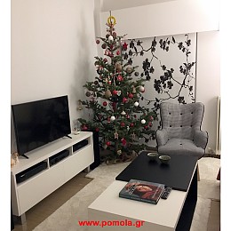 534 Ρολλερ με Ψηφιακη Εκτυπωση