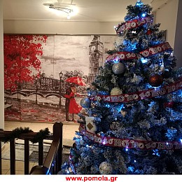 549 Πανελ με Ψηφιακη Εκτυπωση