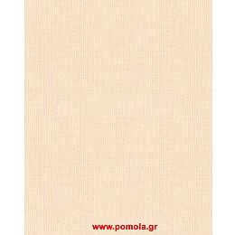 047 Ταπετσαρια τοιχου csl zrv