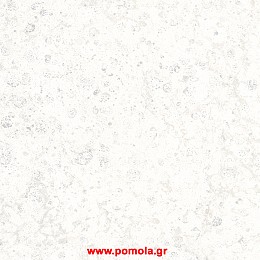 031 Ταπετσαρια τοιχου Pltnm zrv