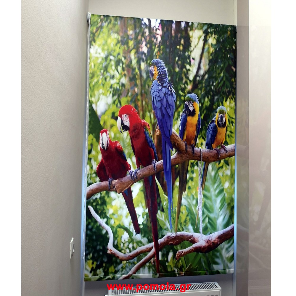 552 Ρολλερ με Ψηφιακη Εκτυπωση