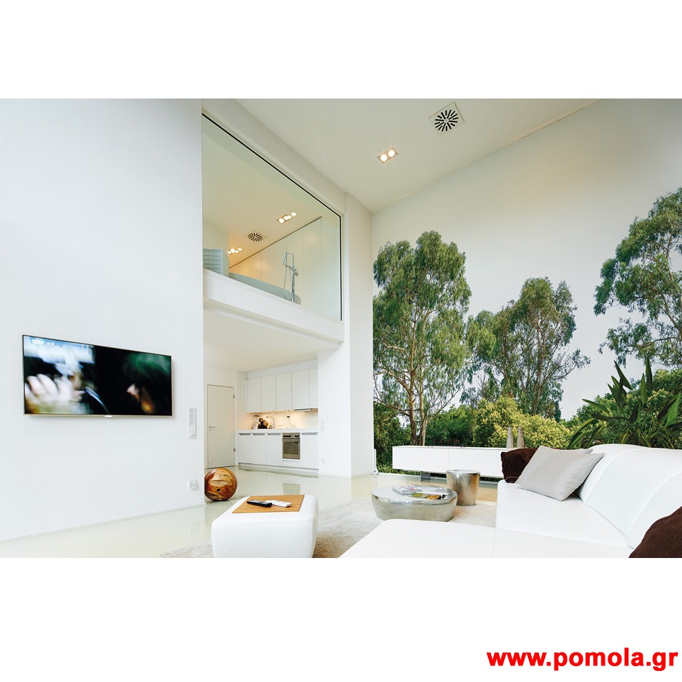 104 Φωτοταπετσαρια