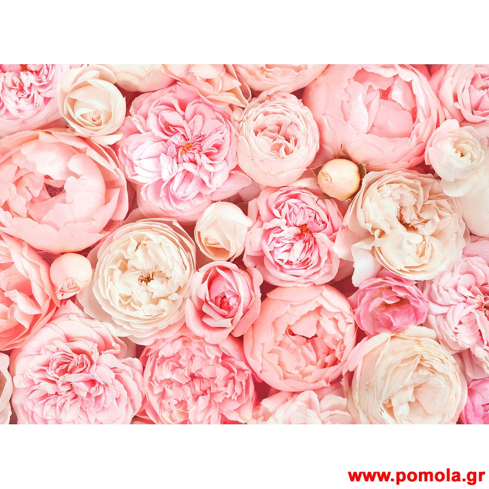 122 Φωτοταπετσαρια