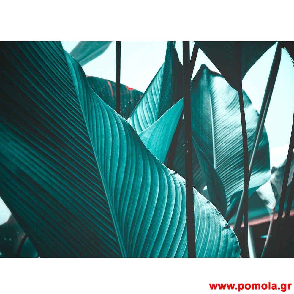 140 Φωτοταπετσαρια