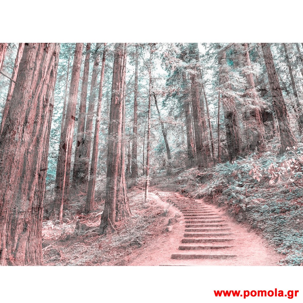 175 Φωτοταπετσαρια