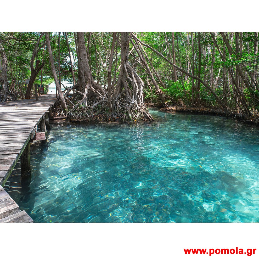 180 Φωτοταπετσαρια