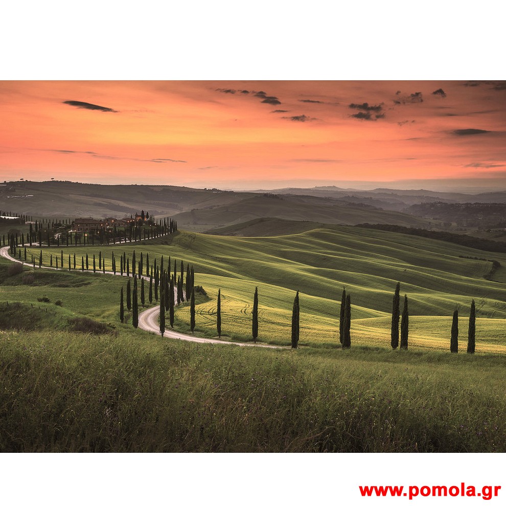 187 Φωτοταπετσαρια