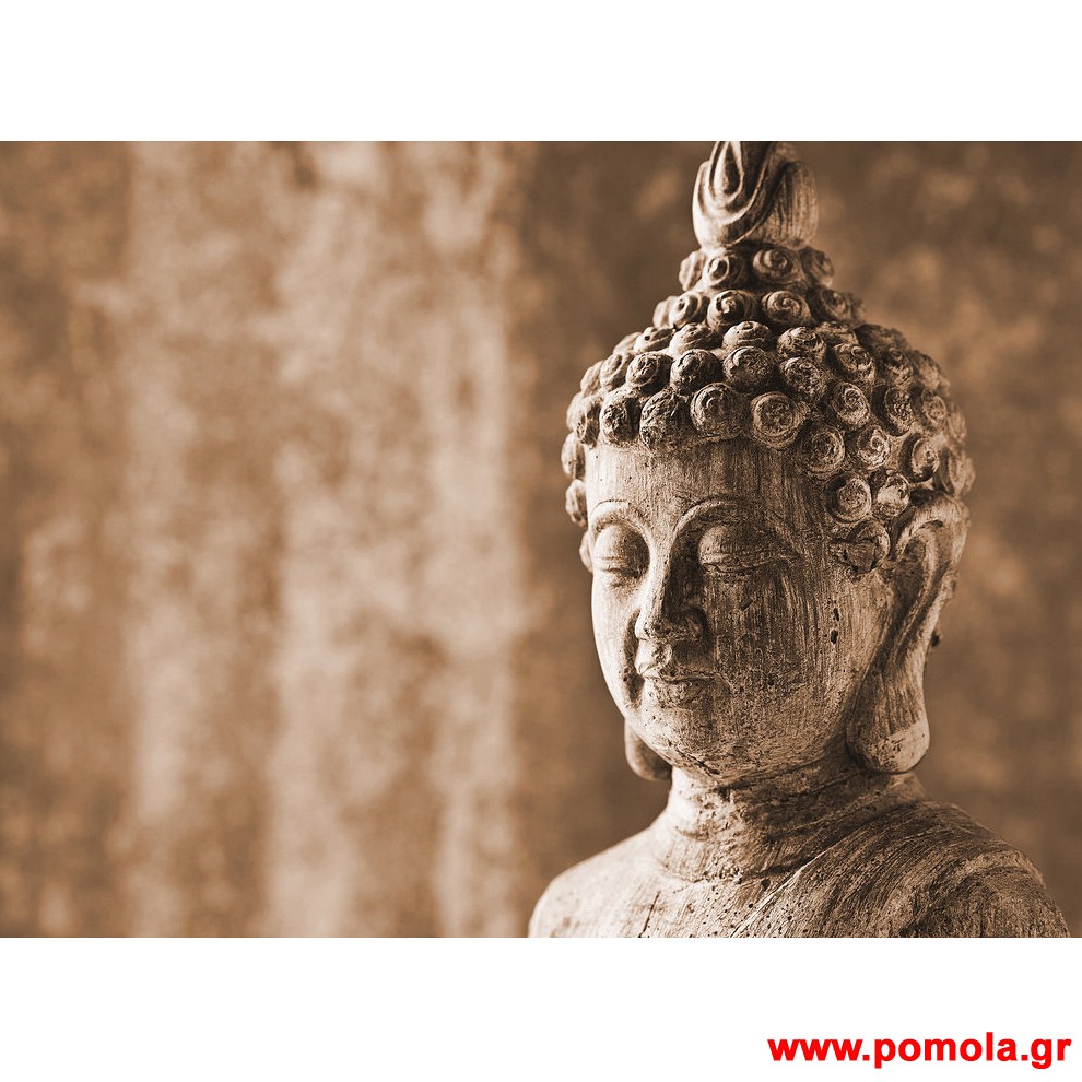 193 Φωτοταπετσαρια