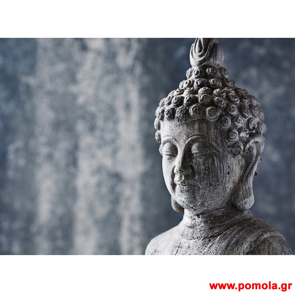 194 Φωτοταπετσαρια