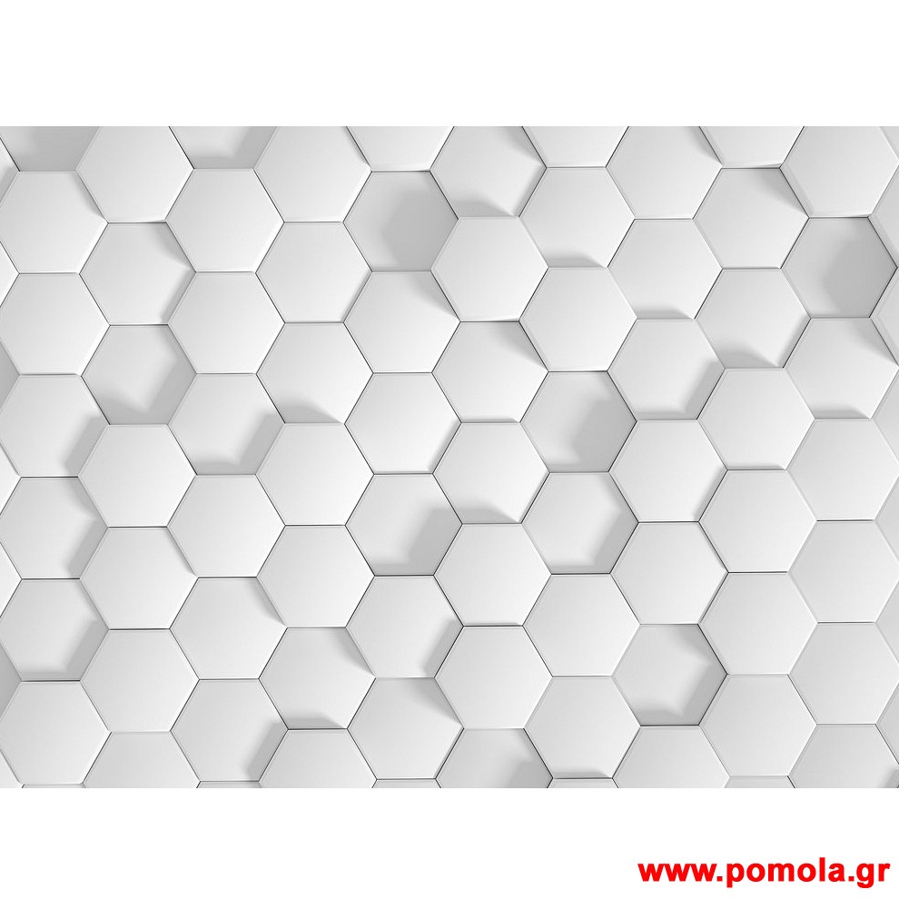 224 Φωτοταπετσαρια