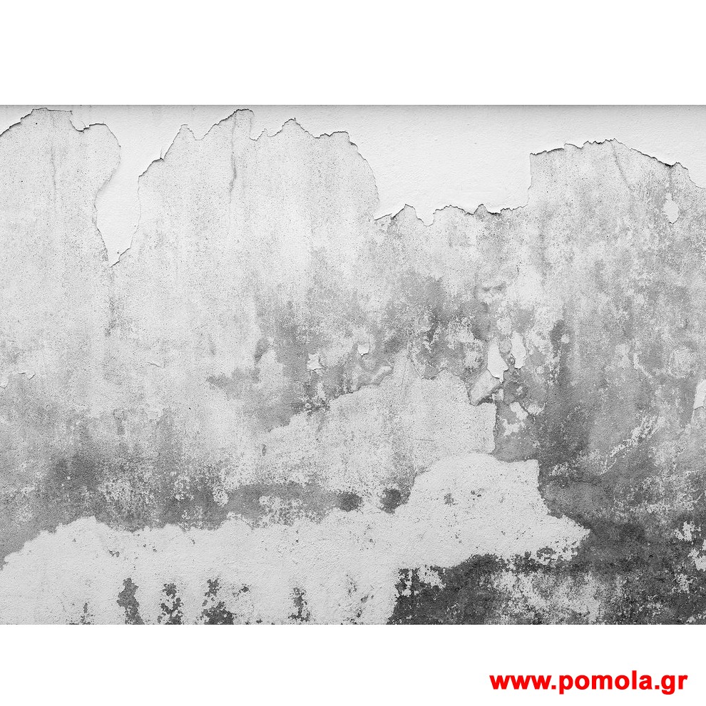 244 Φωτοταπετσαρια