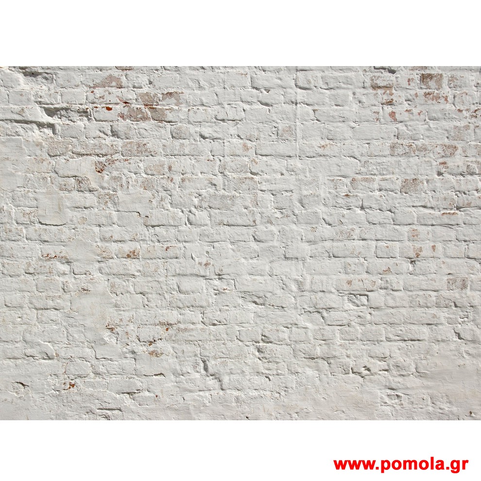 252 Φωτοταπετσαρια