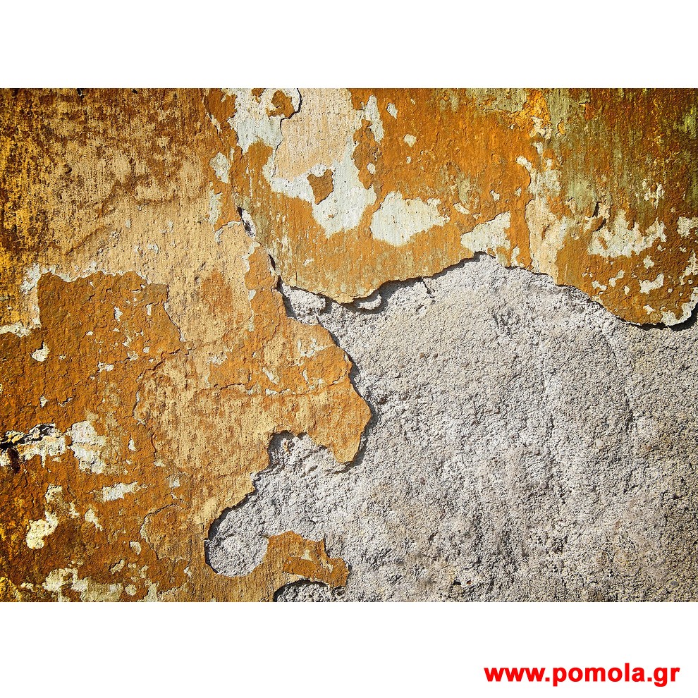 254 Φωτοταπετσαρια