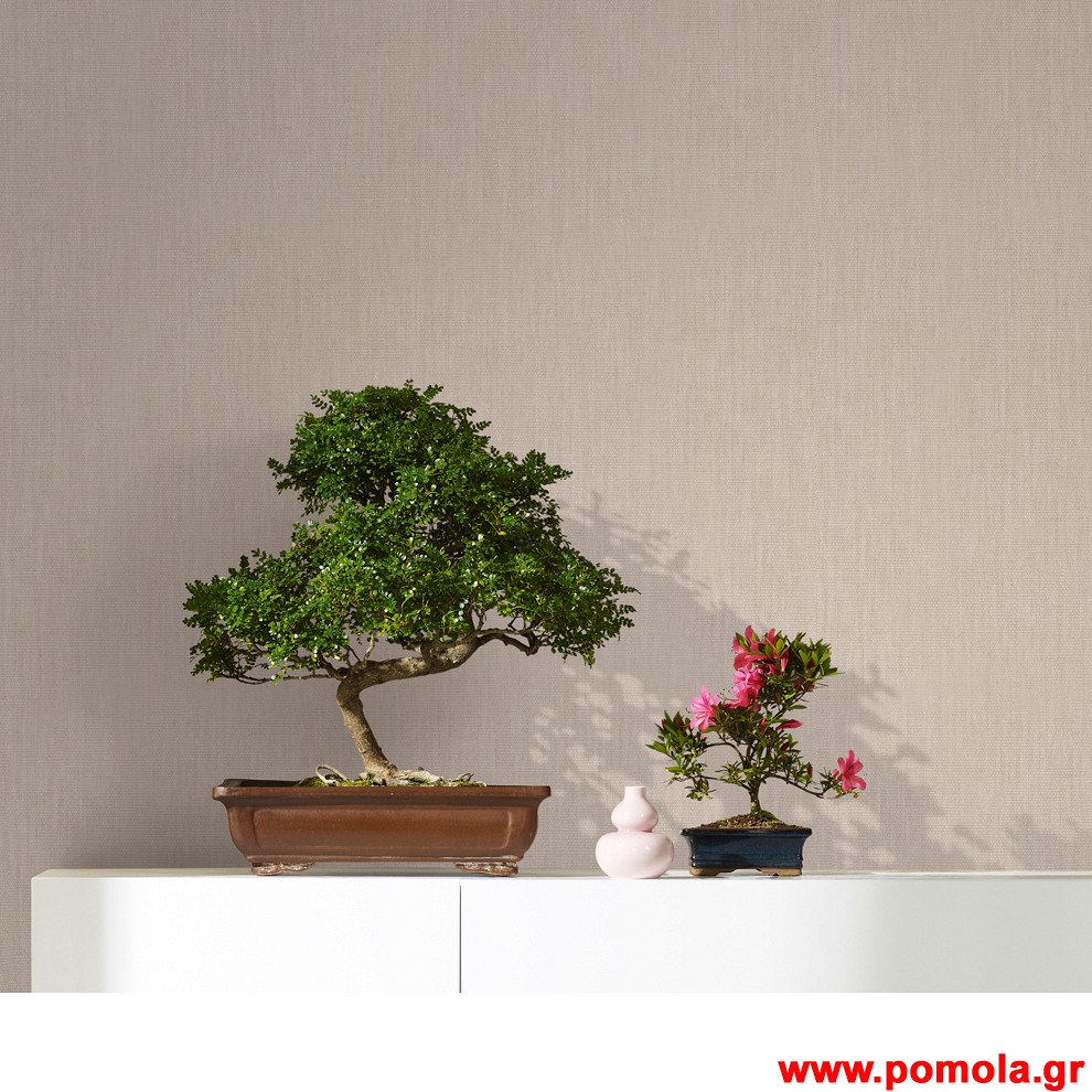 062 Ταπετσαρια τοιχου Botanica zrv