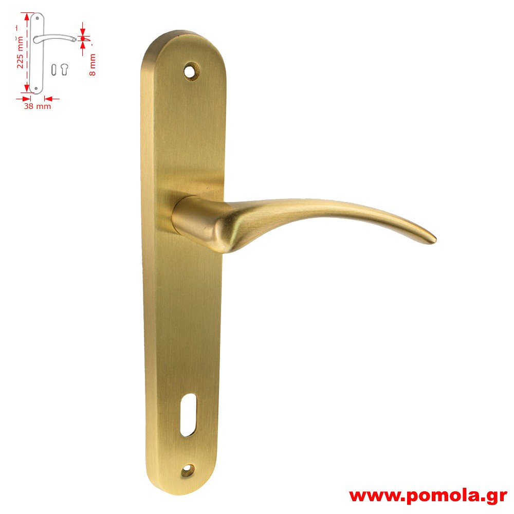 126 Πομολο πορτας με πλακα χρυσο ματ zbls