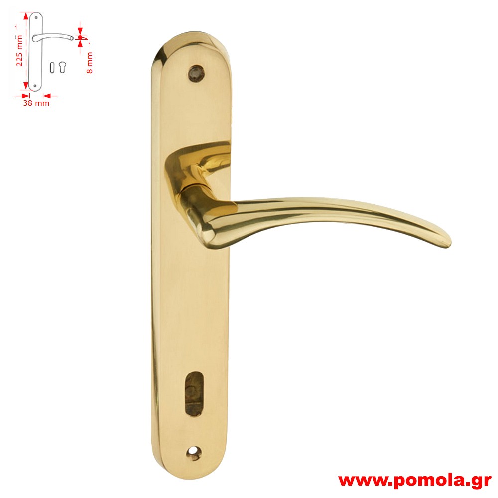 127Πομολο πορτας με πλακα χρυσο γυαλιστερο zbls