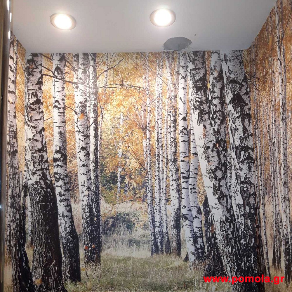 287 Τοποθέτηση ταπετσαρίας