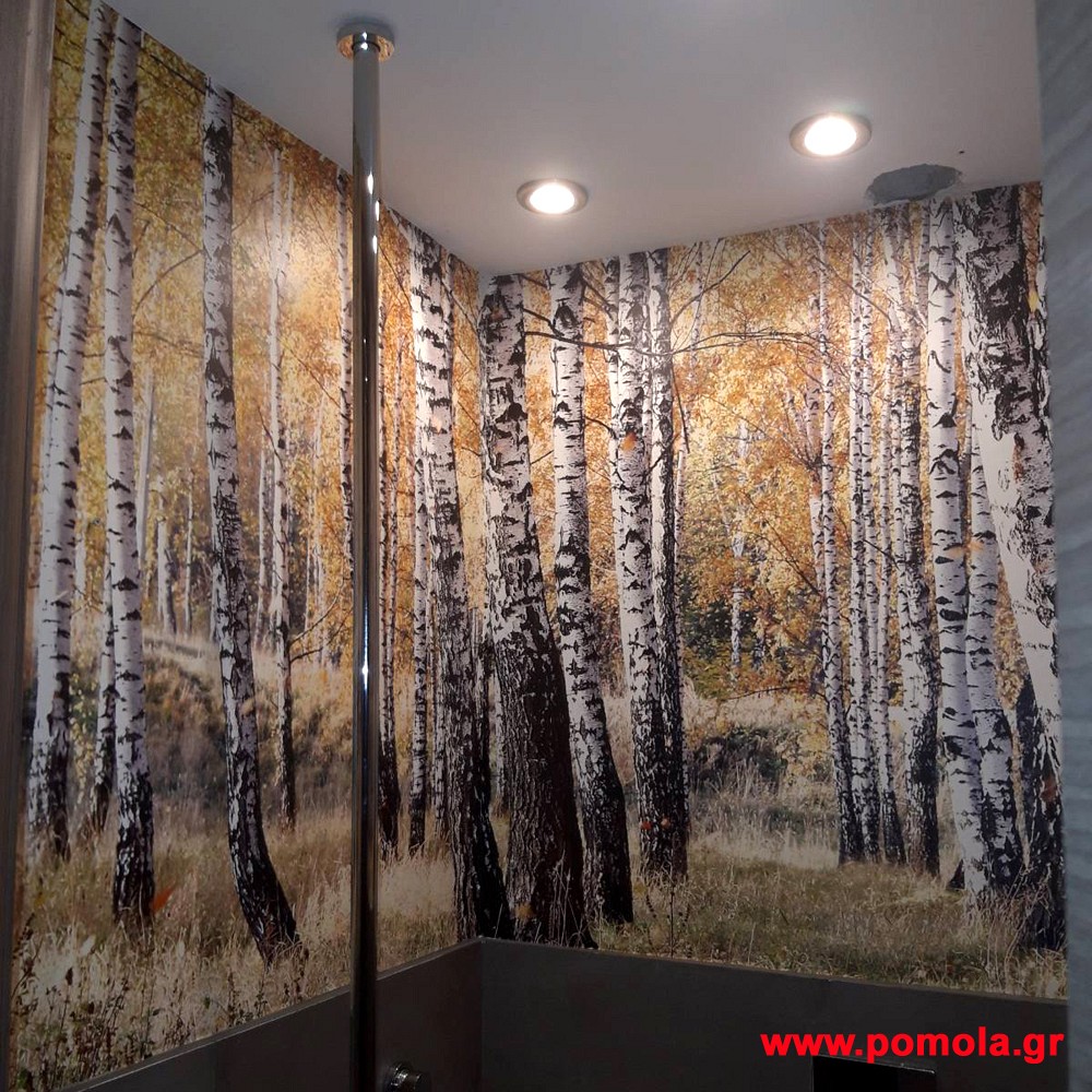 288 Τοποθέτηση ταπετσαρίας