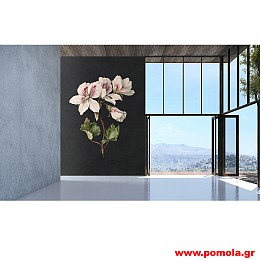 209 Ταπετσαρία τοίχου aow Ptl3