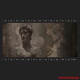 204 Ταπετσαρίες Τοίχου AOW
